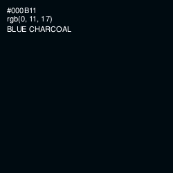 #000B11 - Blue Charcoal Color Image